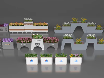 Creative Bonsai Potted Plants Display With Various Flower Pots And Arrangements 3d model