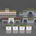 Creative Bonsai Potted Plants Display With Various Flower Pots And Arrangements