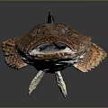 Detailed Brown Spotted Grouper Fish With Blue Eyes And Textured Skin