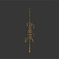 Anatomical Dinosaur Skeleton Fossil Showing Prehistoric Animal Organs And Hair Structure
