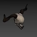 Detailed Mythical Skull With Large Curved Horns On Dark Background