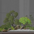 Serene Courtyard Garden with Pruned Trees Various Stones Green Shrubs Gravel Ground and Wooden Flooring