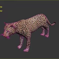 Leopard 3D Model in Standing Pose with Spotted Fur and Reflective Background 3d model