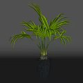 Indoor Tropical Potted Plant With Lush Green Leaves And Dark Textured Decorative Pot