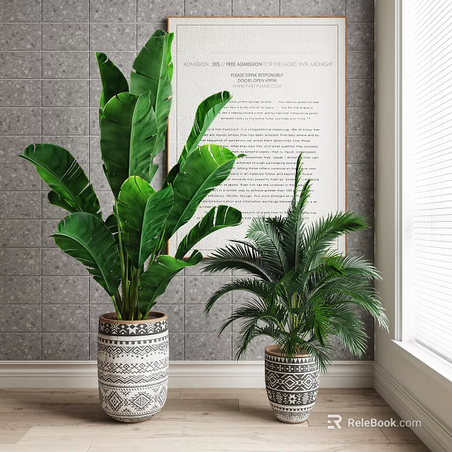 Large Leafy Bonsai Potted Plant And Palm In Modern Room With Tile Wall And Window 3d model 