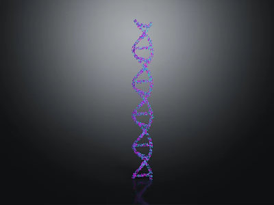 DNA Molecule Double Helix Structure With Violet Blue Glowing On Dark Background 3d model