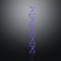 DNA Molecule Double Helix Structure With Violet Blue Glowing On Dark Background
