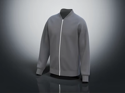 Gray Long Sleeve Stand Collar Casual Jacket With White Zipper And Simple Design 3d model