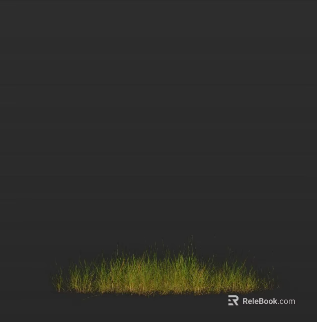 Lush Green Grass Growing Against Dark Black Background in Lower Part 3d model 