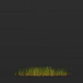 Lush Green Grass Growing Against Dark Black Background in Lower Part
