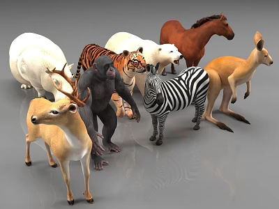 Diverse Reptile Species Collection Featuring Lizards Snakes Turtles And Crocodiles 3d model