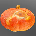 Ripe Orange Pumpkin with Spotted Surface and Stem on Gray Background 3d model