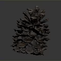 Close Up View Of Natural Pine Cone With Detailed Texture On Dark Background