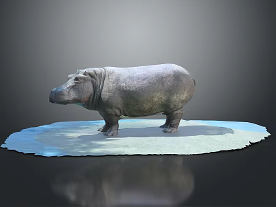 modern rhino land animal wild animal large animal 3d model modern rhino land animal wild animal large animal 3d model