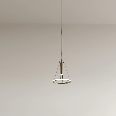 Modern Metal Circular Ring Pendant Light Hanging From White Ceiling With Light Wall 3d model