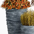 Decorative Bonsai Potted Plants With Red Orange Yellow Foliage And Textured Gray Pots