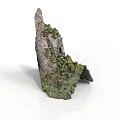 Natural Wooden Stone With Green Moss And Rough Organic Surface Texture