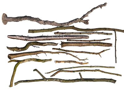 Natural Wood and Stone Branches in Various Shapes for Craft and Decor Projects 3d model