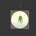 Green Hanging Plant Suspended In Circular Transparent Container With Gradient Gray Black Background And Reflection