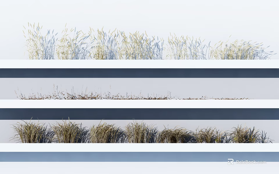 Natural Garden Grass Display With Different Types Arranged in Three Rows 3d model 