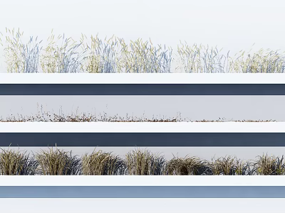 Natural Garden Grass Display With Different Types Arranged in Three Rows 3d model