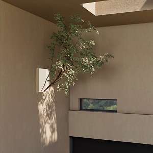 Indoor landscaping tree 3d model