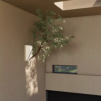 Indoor landscaping tree 3d model