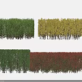 Colorful Bushes Hedge Rows With Green Yellow Red Foliage For Garden Landscape