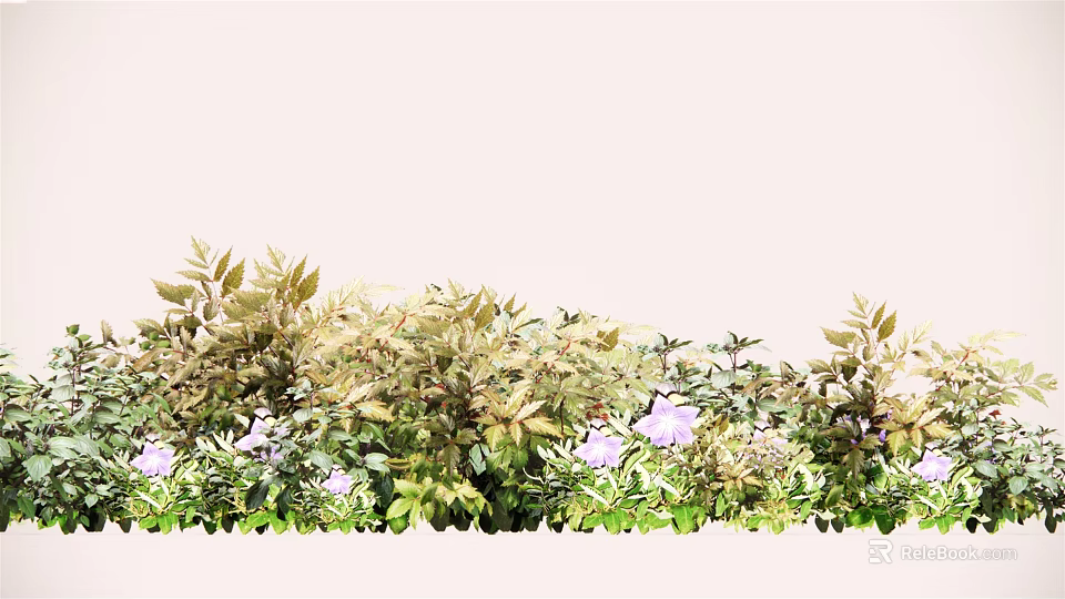 Vibrant Floral Bush With Purple Flowers And Green Leaves In Garden 3d model 
