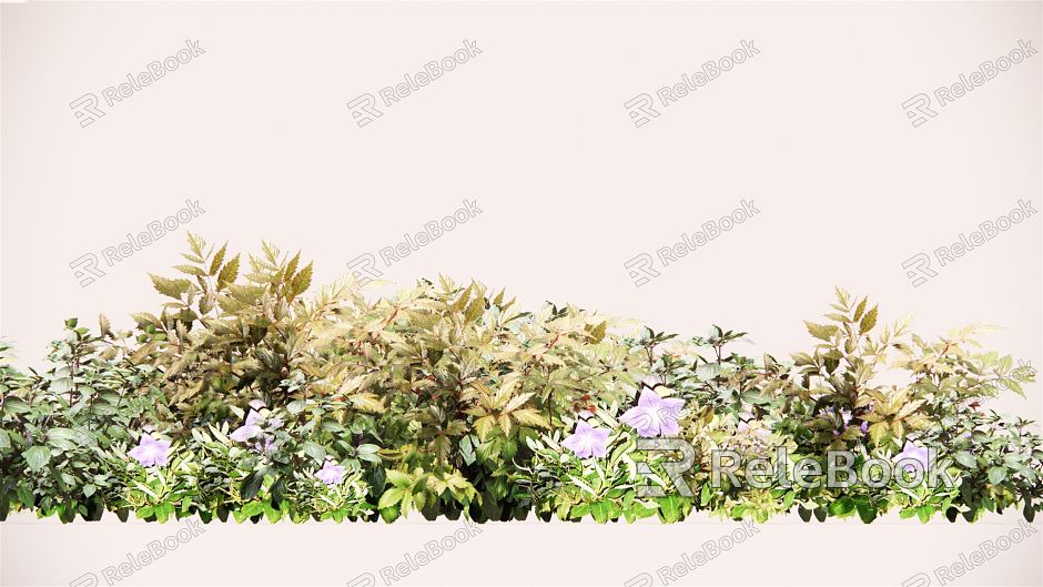 Modern Plant Flower Border Plant Group model