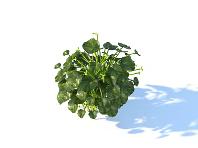 Lush Potted Green Plant With Vibrant Leaves And Natural Shadow 3d model
