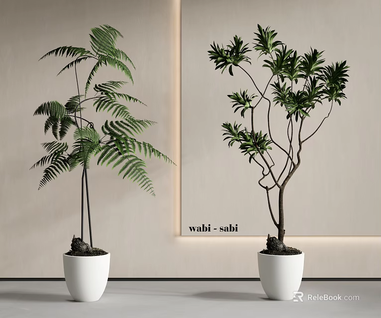 Decorative Bonsai Plants Featuring Fern and Leafy Greenery in White Planters 3d model 