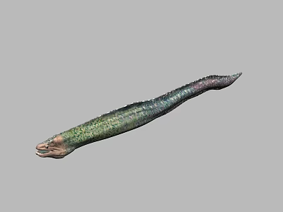 Colorful Green And Purple Long Slender Eel Like Aquarium Pet Fish 3d model