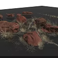 Natural Arrangement of Red Rocks Dry Grass and Branches on Black Background