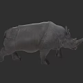 Realistic Reptile 3D Model With Detailed Skin Texture And Walking Stance