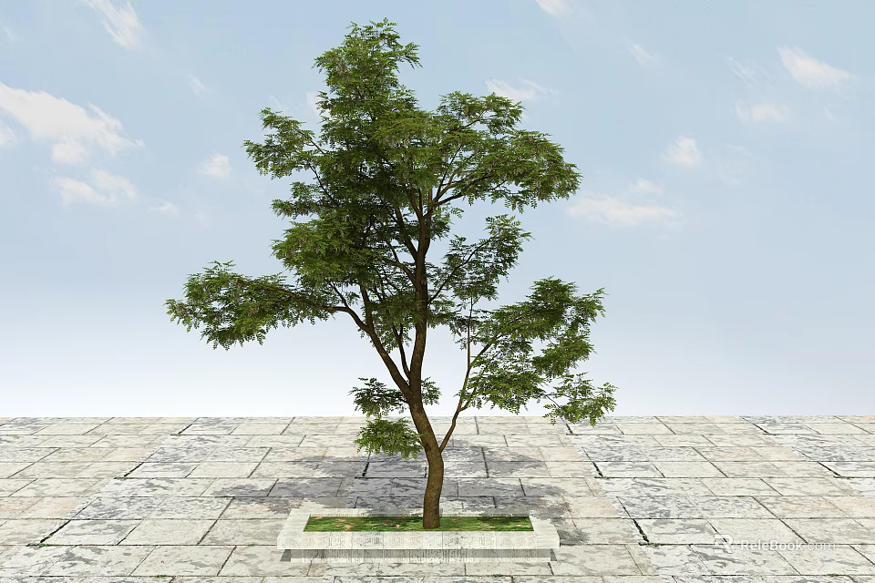 Tall Leafy Arbor With Green Foliage On Stone Slab Pavement Under Blue Sky 3d model 