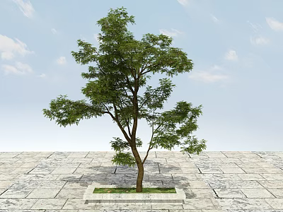 Tall Leafy Arbor With Green Foliage On Stone Slab Pavement Under Blue Sky 3d model