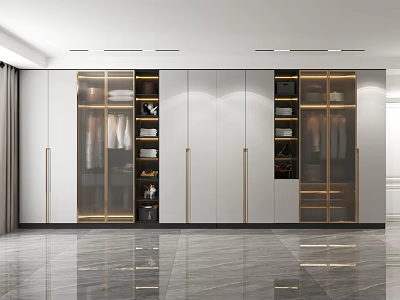 Modern Wardrobe Interior with Glass Doors Metal Handles Light Panels and Layered Storage Design 3d model