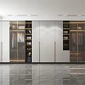Modern Wardrobe Interior with Glass Doors Metal Handles Light Panels and Layered Storage Design