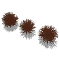 Three Brown Fluffy Shrubs in Garden Landscaping with Natural Shadow