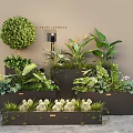 Lush Mixed Greenery With Succulents Ferns And Tropical Plants Outside Women's Clothing Store Black Planters