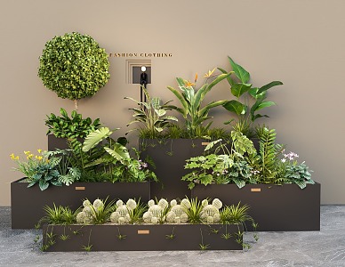 Green Plant Flower Box Indoor Plant Landscaping Plant Combination Plant Pile Flower Pond Flower Box 3d model