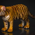 Baby Tiger With Yellow Black Stripes Standing On Black Background With Reflection