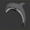 Realistic Gray Dolphin Model Jumping Pose With Smooth Surface And Dark Background Reflection 3d model