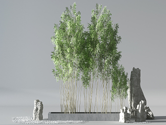 Bamboo 3d model