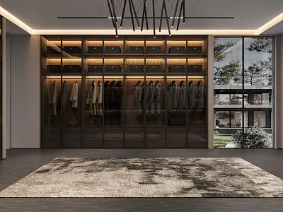 Modern Walk in Closet Interior With Glass Door Cabinets Hanging Clothes And Area Rug 3d model