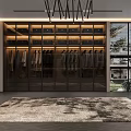 Modern Walk in Closet Interior With Glass Door Cabinets Hanging Clothes And Area Rug