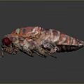 3D Rendered Red Cicada With Transparent Orange Veined Wings And Detailed Body Structure