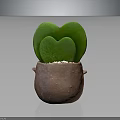 Heart Shaped Green Succulent Plant in Brown Clay Pot with Simple Gray Background