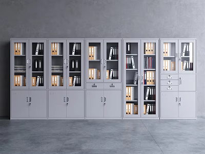 Modern Bookcase With Metal Frame Open Shelves Closed Cabinets And Stored Files And Books 3d model